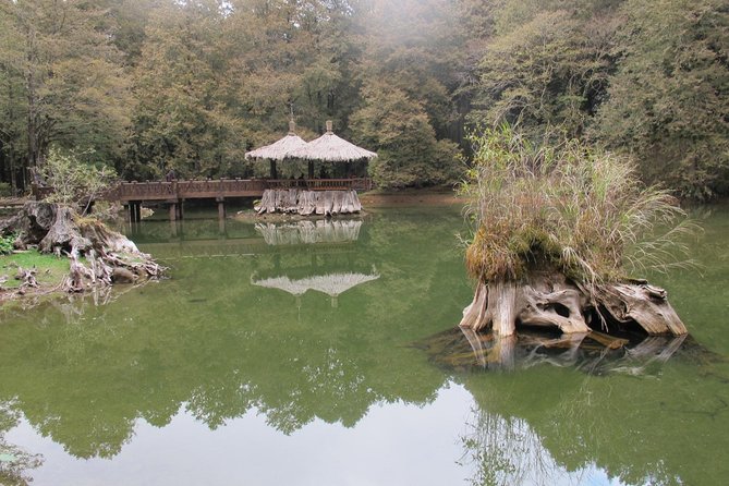Alishan Culture and Ecology -One Day Tour - Sum Up