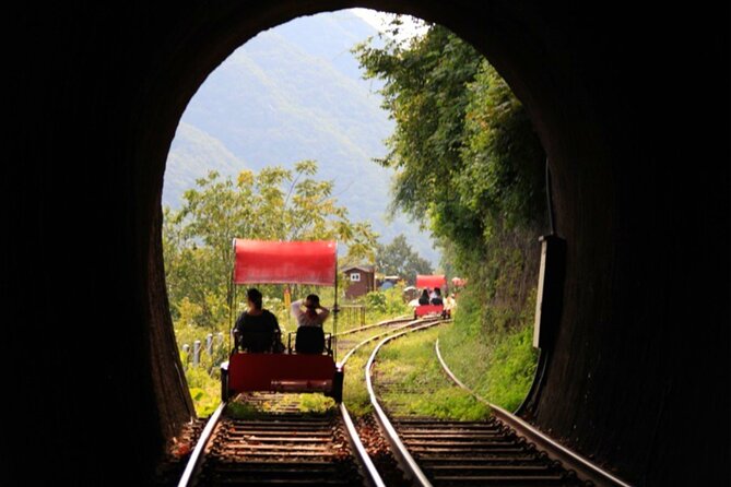 Alpaca World and Nami Island With Gangchon Rail Bike Tour - Common questions