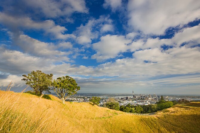 Auckland City and West Coast Full Day Tour - Sum Up
