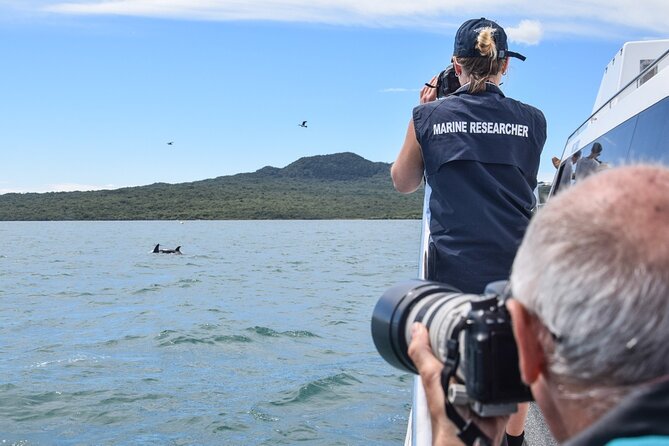 Auckland Dolphin and Whale Watching Eco-Safari Cruise - Environmental Conservation