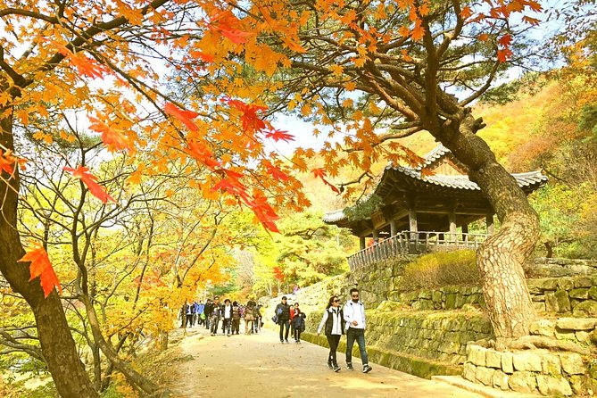 Autumn 8 Days South Korea Tour Including Jeonju,Damyang,Mt.Naejangsan - Booking and Pricing Details