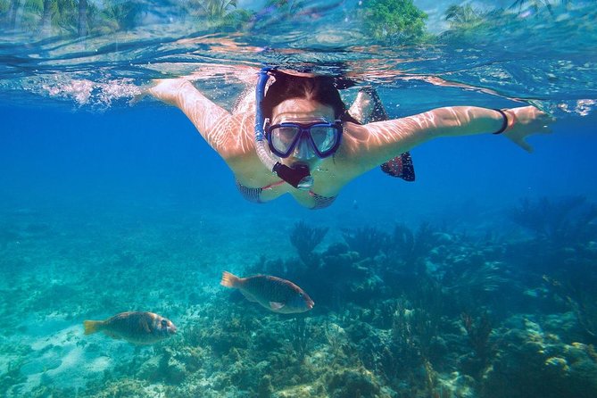 Bali Blue Lagoon Snorkeling Experience - Reviews and Additional Information