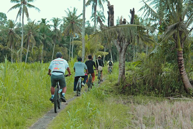 Bali Eco Cycling Tour - Sum Up