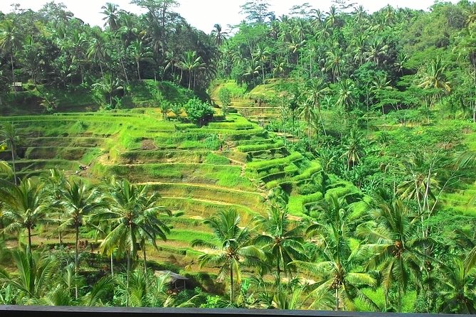 Bali Hindu Temple, Rice Terrace, Waterfall With Lunch - Common questions