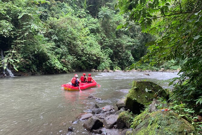 Bali Jungle White Water Rafting Adventure - Experience Expectations