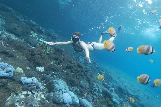 Bali Private Snorkeling (Manta, Gamat, Crystal) and Nusa Penida Tour - Sum Up
