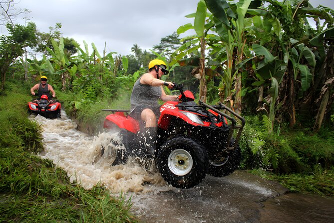 Bali Quad Bike Adventure - Ubud Best ATV Ride Activity - Sum Up and Future Recommendations