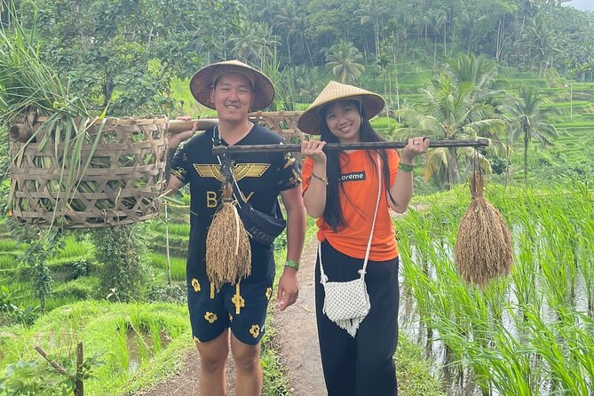 Bali Swing Ubud Hot Spring Waterfall Private Tour Free WiFi - Sum Up