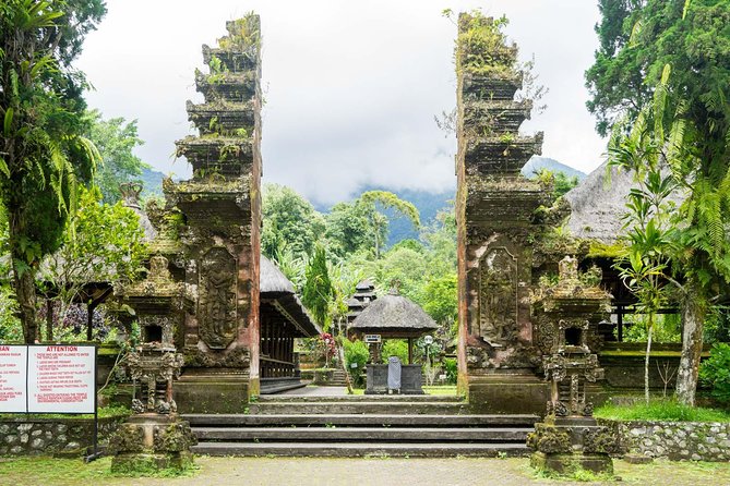 Bali Waterfalls, Rice Fields, and Temple Private Day Tour  - Ubud - Sum Up