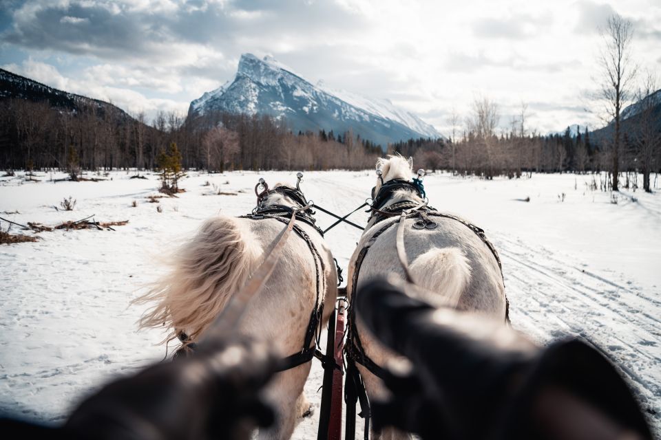 Banff: Family Friendly Horse-Drawn Sleigh Ride - Additional Tips