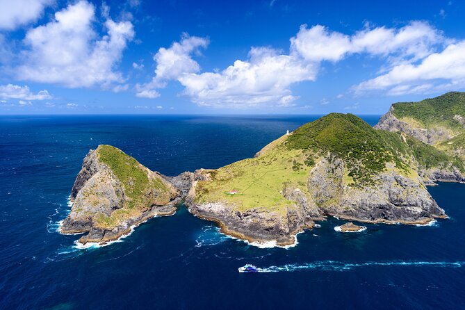 Bay of Islands Discovery Experience From Auckland Incl. Hole in the Rock Cruise - Directions and Meeting Point
