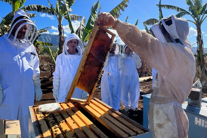 Bee Farm Ecotour and Honey Tasting in Waialua, North Shore Oahu - Common questions