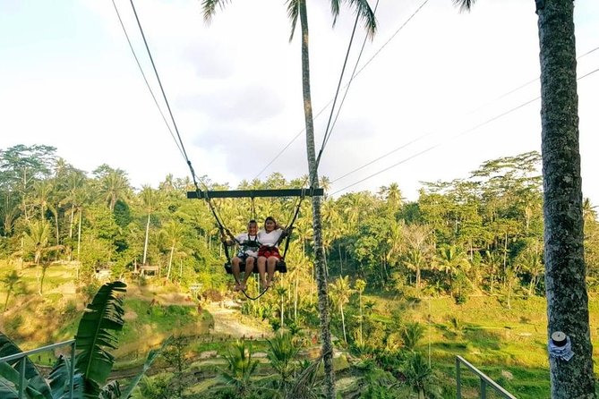 Best of Bali Jungle Swing With Ubud Sightseeing Tour - Sum Up