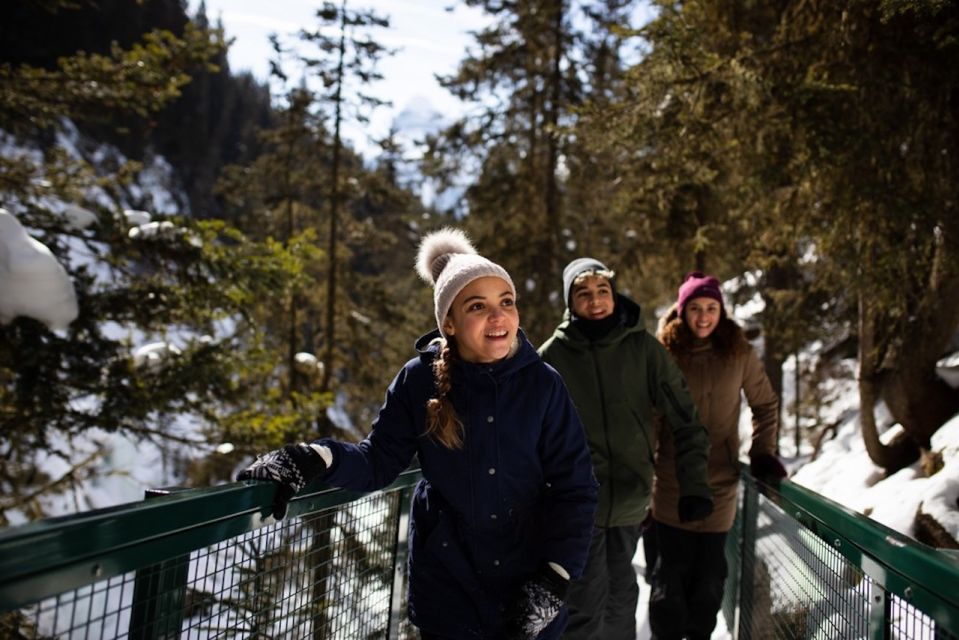 Best of Banff Winter Lake Louise, Frozen Falls & More - Winter Wildlife Spotting