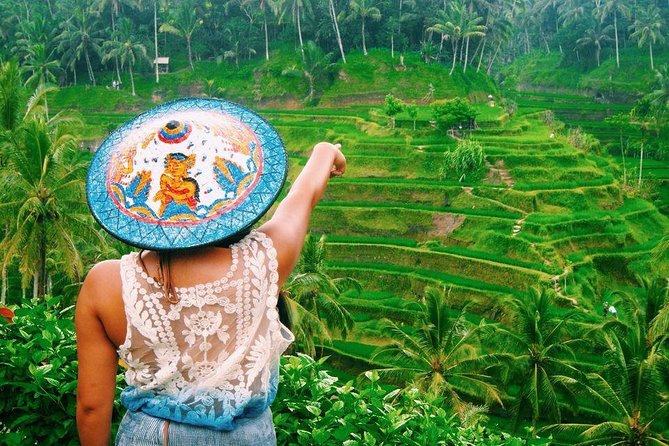 Best of Ubud Tour With Waterfall, Rice Terraces & Monkey Forest Including Lunch - Customer Feedback Insights