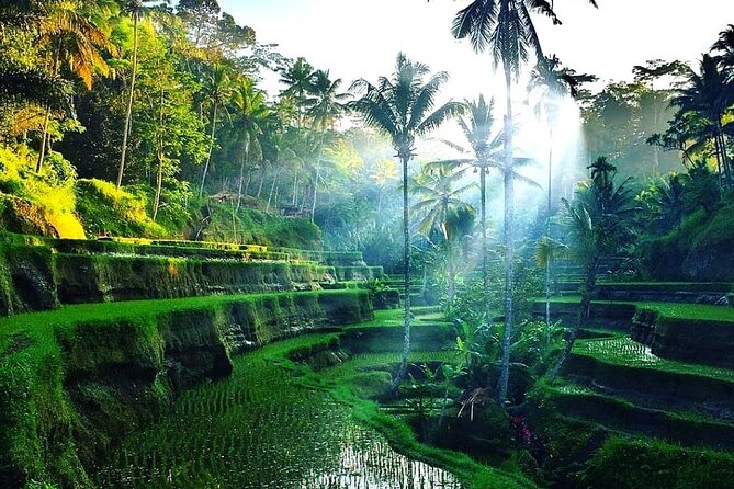 Best of Ubud - Ubud Tour Popular - All Inclusive - Expert Guides and Local Insights