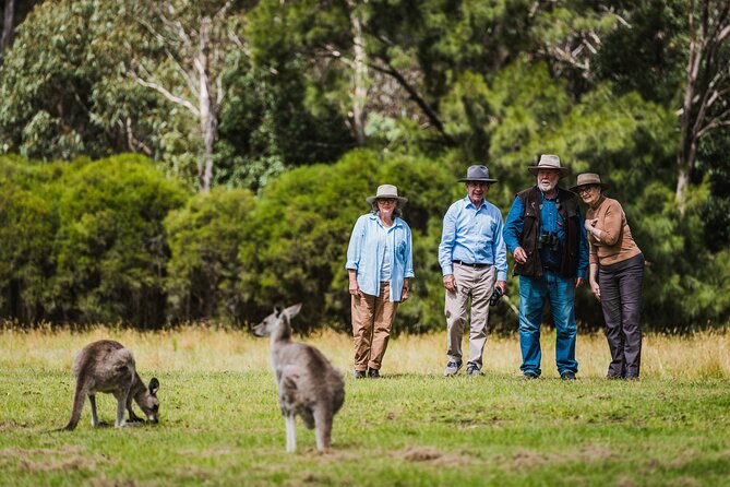 Best of Wildlife and Birds Tour - Common questions