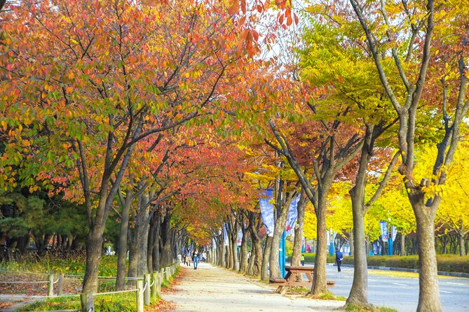 Best View Seoul Autumn Foliage Tour - Sum Up