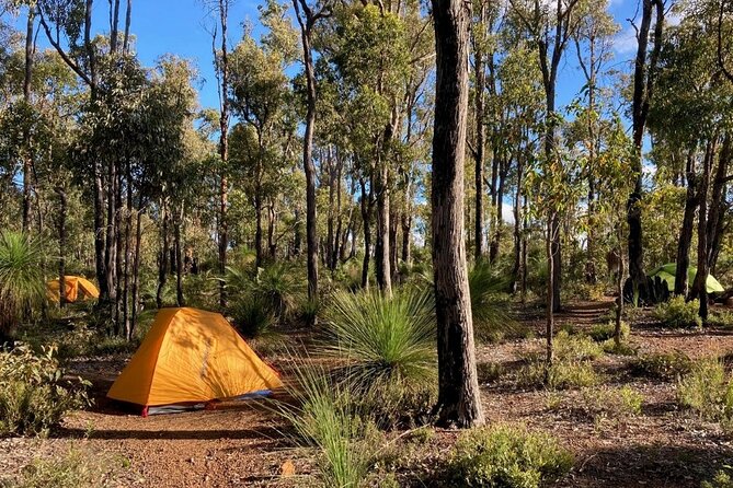 Bibbulmun Track Multi-Day Hike and Camp to the Darling Range - Sum Up