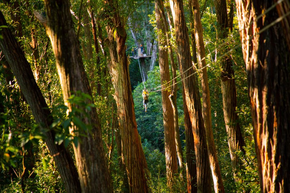 Big Island: 3-Hour Kohala Canopy Zipline Adventure - Off-Road Drive