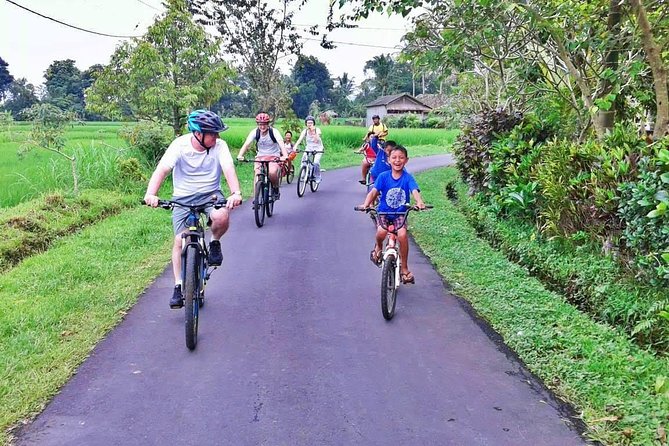 Bike Ride in the Rice Fields, Bali Countryside - Copyright Notice & Terms