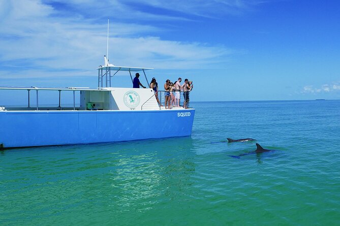 Biologist-Guided Adventure: Dolphin Watching and Key West Reefs - Meeting and Pickup Details