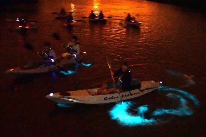 Bioluminescent Kayak Tour. Fin Expeditions Is Cocoa Beaches Top Rated Kayak Tour - Contact Information