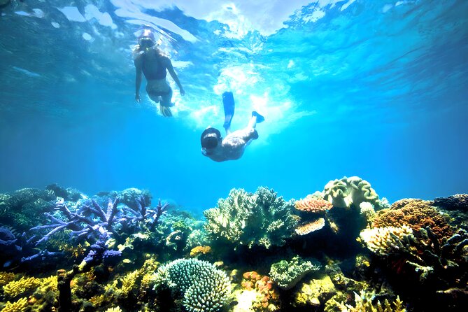 Blue Lagoon Snorkeling - Bali Best Snorkeling Site - Customer Support and Contact Info