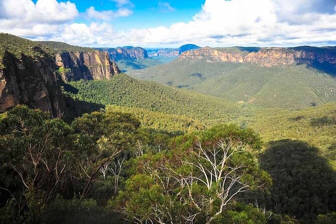 Blue Mountains Private Hiking Tour From Sydney - Common questions