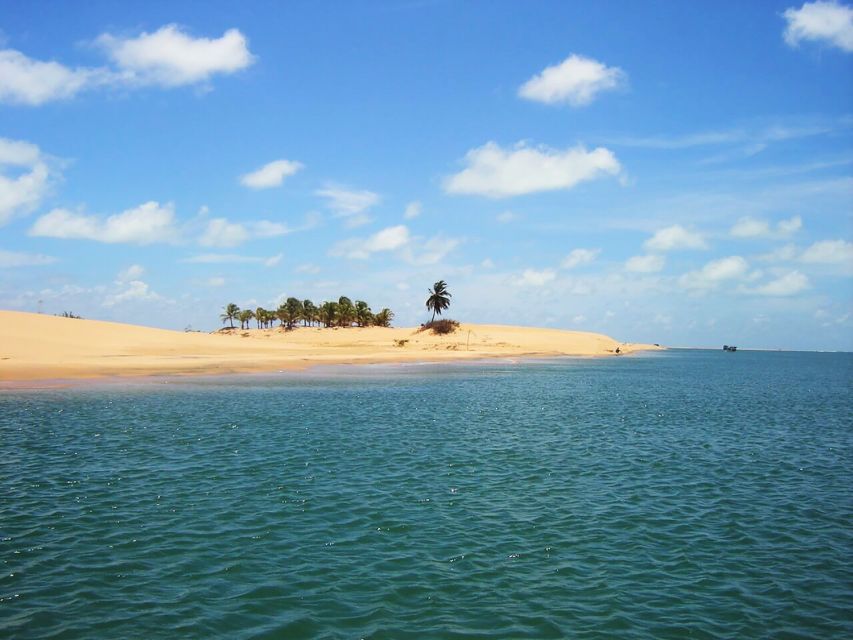 Boat Ride: São Francisco River, the Largest in Brazil - Sum Up