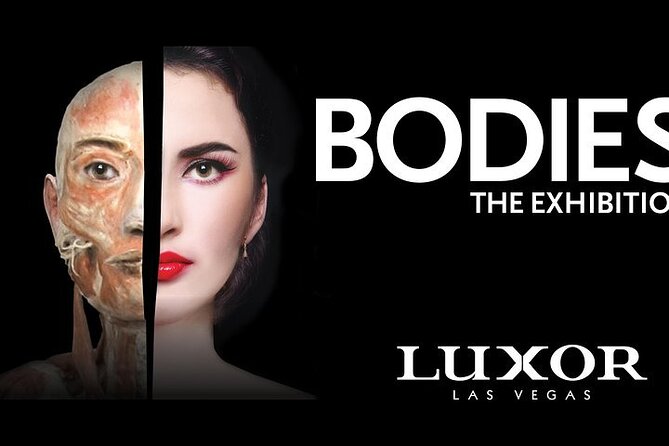 Bodies The Exhibition at the Luxor Hotel and Casino - Admission Inclusions