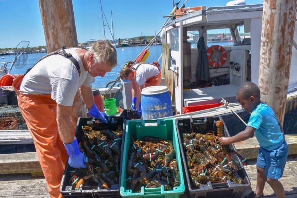 Boston: Kennebunkport Day Trip With Optional Lobster Tour - Booking Details for the Day Trip