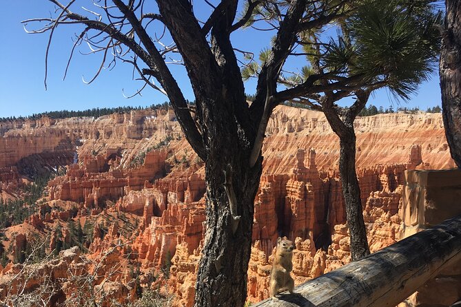 Bryce Canyon E-bike Tour - Common questions