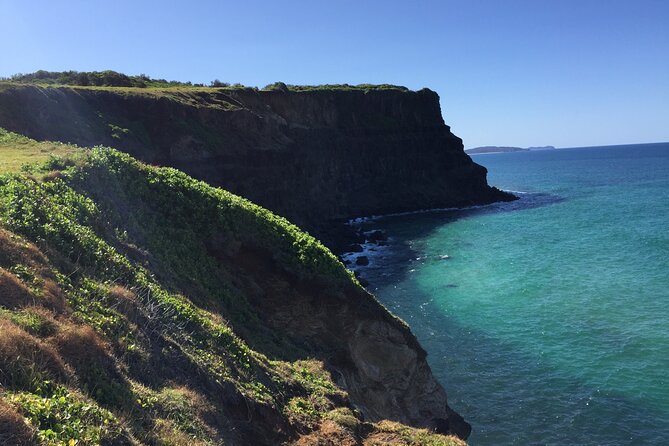 Byron Bay Hidden Beach, Waterfall, and Bushwalk Half-Day Tour - Common questions