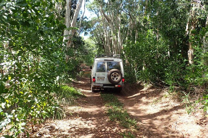 Cairns 4WD Rainforest Waterfall Tour Including a GBR Island Tour - Sum Up