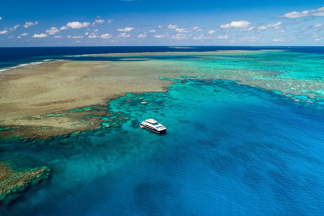 Calypso Outer Great Barrier Reef Cruise From Port Douglas - Sum Up