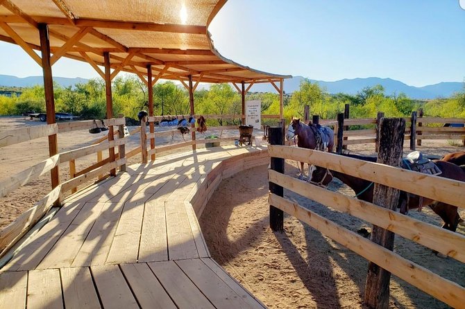 Camp Verde Small-Group Scenic Horseback Ride  - Flagstaff - Sum Up