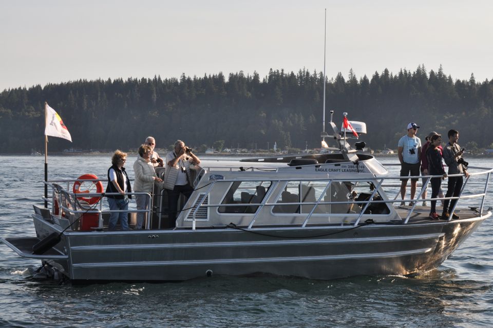 Campbell River: Whale Watching and Wildlife Viewing Day Tour - Common questions