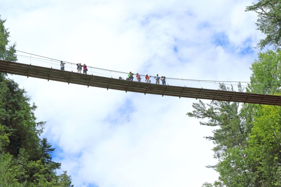 Canyon Sainte-Anne: Park Admission Ticket - Sum Up