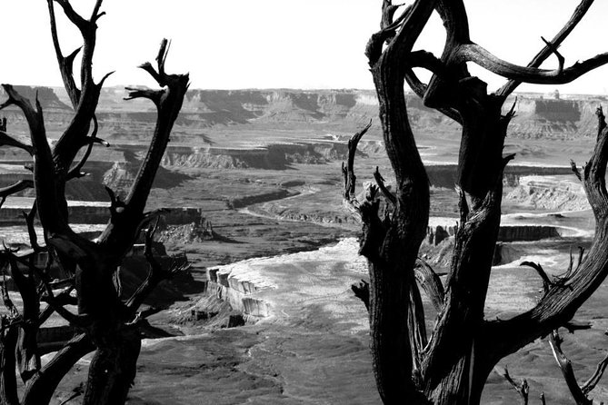 Canyonlands National Park Half-Day Tour From Moab - Common questions