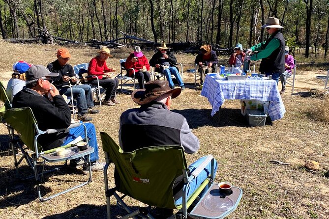 Carnarvon Range Day Tour With an Ecologist Guide  - Queensland - Logistics and Reviews