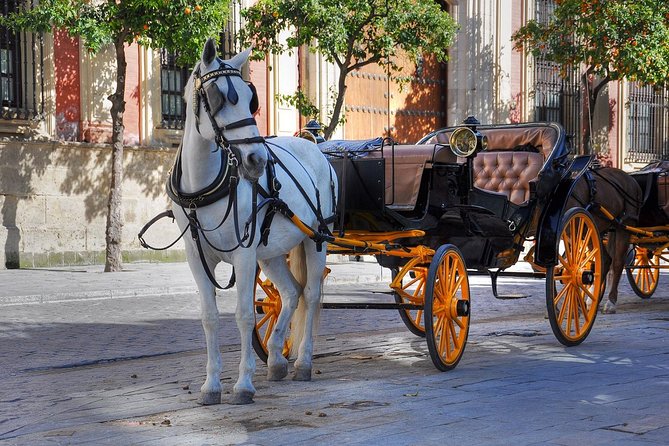 Carriage Ride in Central Park (VIP - PRIVATE) Since 1964 - Sum Up