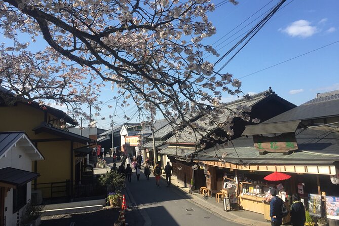 Cherry Blossom Buddha and Mt.Yoshino With Strawberry Picking Tour - Sum Up