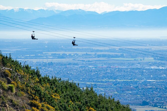 Christchurch Zipline Tour - Sum Up