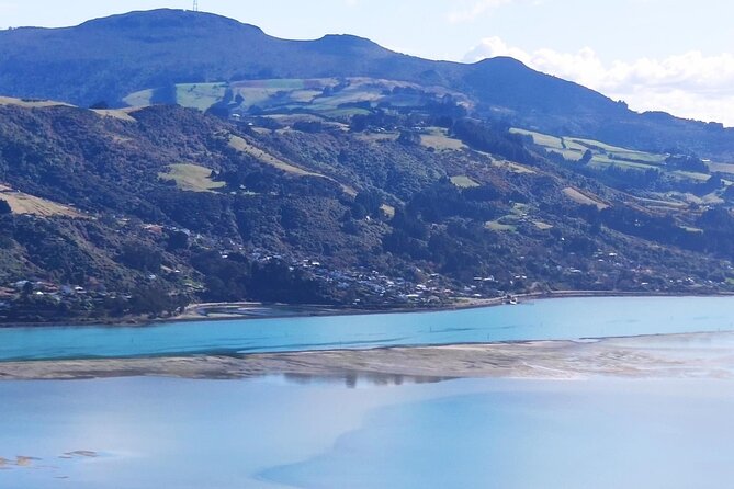 City Highlights, Larnach Castle & Peninsula Views - Viator Tour Details