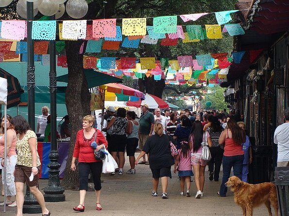 City Sightseeing San Antonio City Hop-On Hop-Off Bus Tour - Key Points