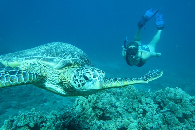 Clear Kayak and Snorkel Tour at Turtle Town, Makena - Common questions