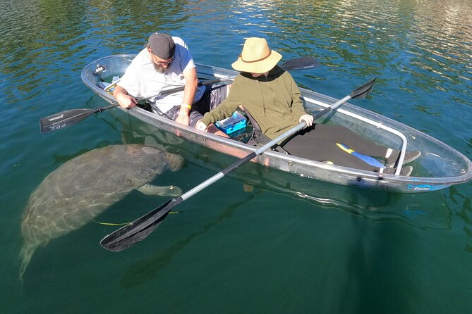 Clear Kayak Manatee Ecotour of Crystal River - Common questions