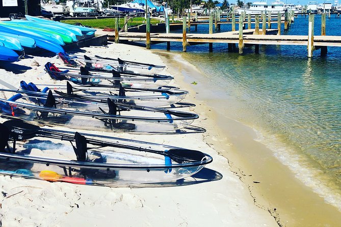 Clear Kayak Tour in Jupiter - Booking and Additional Info