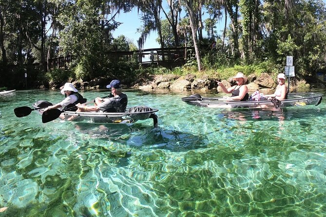 Clear Kayak Tour Of Crystal River And Three Sisters Springs - Tour Policies